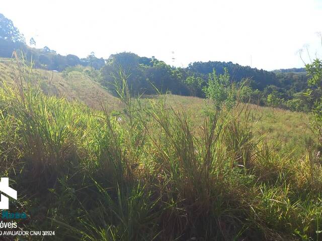 Área para Venda em Cordilheira Alta - 4
