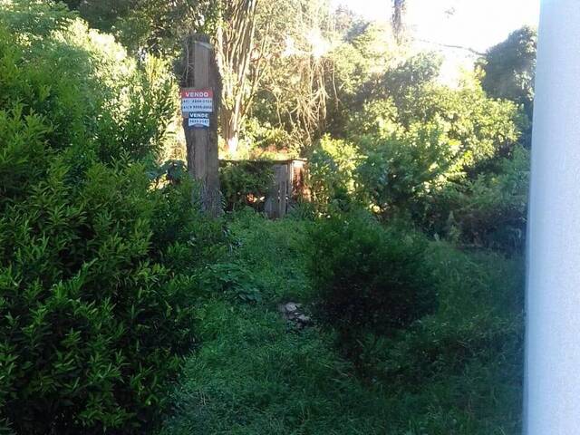Área para Venda em Xanxerê - 4