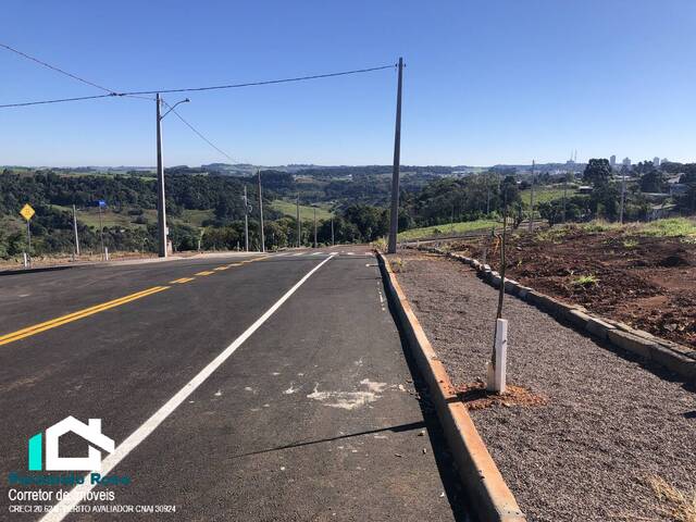 #291 - Área para Venda em Xanxerê - SC