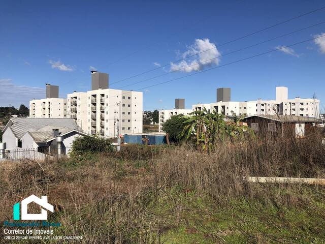 Área para Venda em Xanxerê - 5