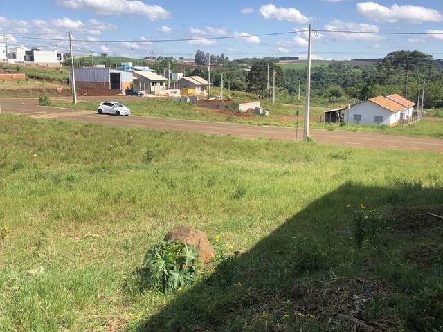 #325 - Área para Venda em Xanxerê - SC