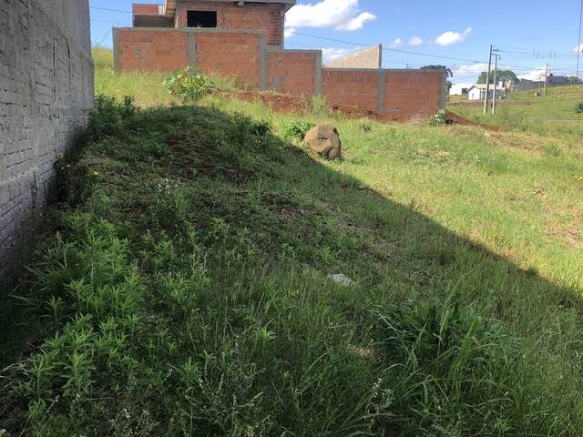 Área para Venda em Xanxerê - 4
