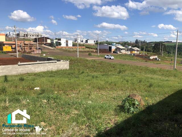 #325 - Área para Venda em Xanxerê - SC