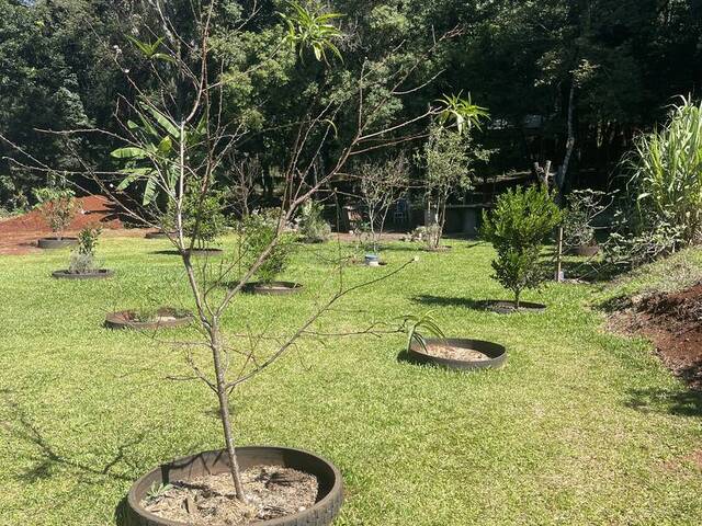 Venda em Interior - Xanxerê