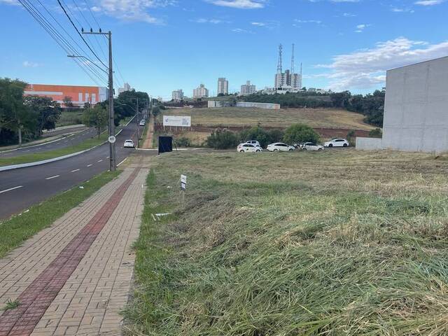 Venda em Nossa Senhora de Fátima - Xanxerê