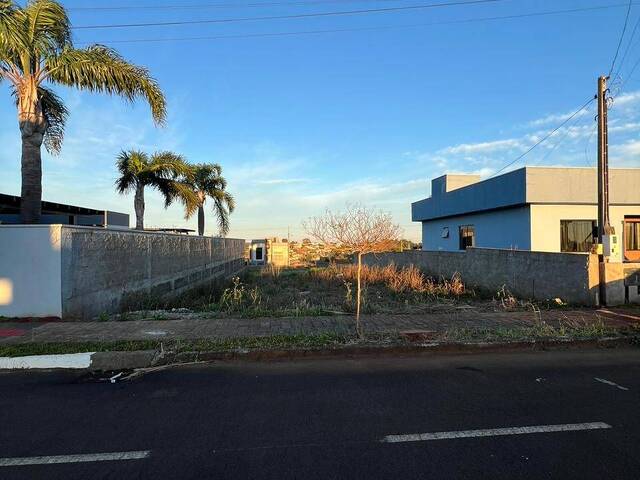 Área para Venda em Xanxerê - 4